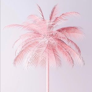 Welcome everyone  👋🏽